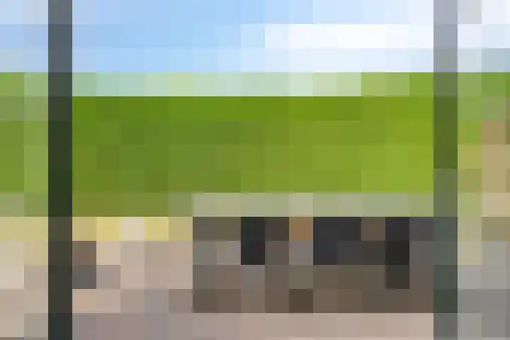 Bargereed 49 Tzummarum thumbnail 17