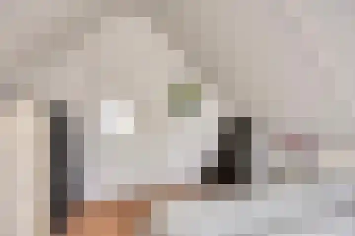 Bargereed 49 Tzummarum thumbnail 21