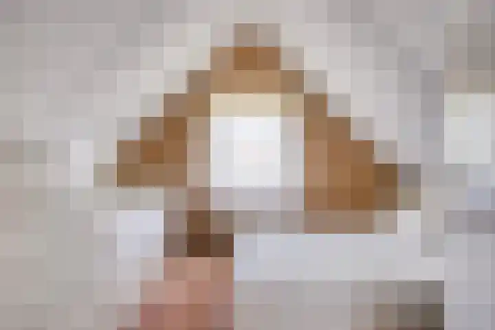 Bargereed 49 Tzummarum thumbnail 22