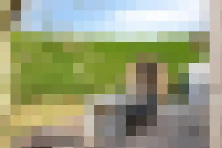 Bargereed 49 Tzummarum thumbnail 28
