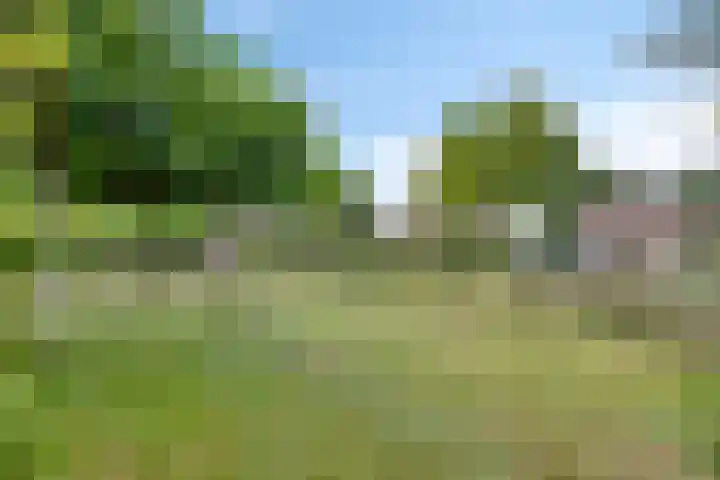 Bargereed 49 Tzummarum thumbnail 30
