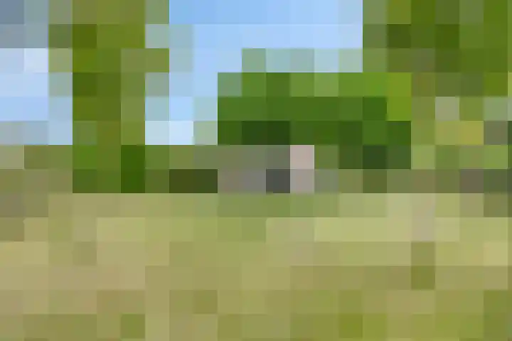 Bargereed 49 Tzummarum thumbnail 31