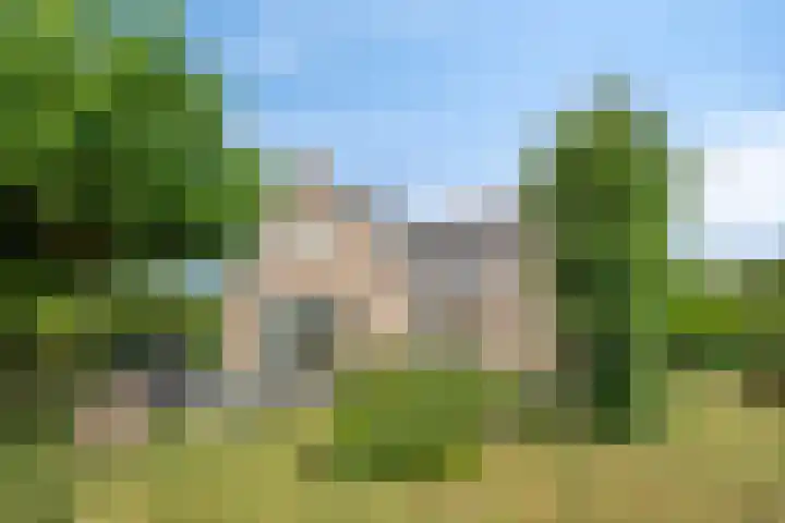 Bargereed 49 Tzummarum thumbnail 32