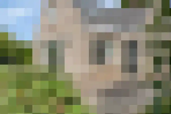 Bargereed 49 Tzummarum thumbnail 33
