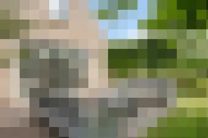 Bargereed 49 Tzummarum thumbnail 34