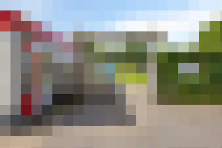 Bargereed 49 Tzummarum thumbnail 36