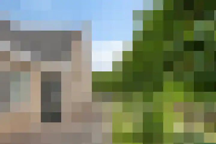 Bargereed 49 Tzummarum thumbnail 5