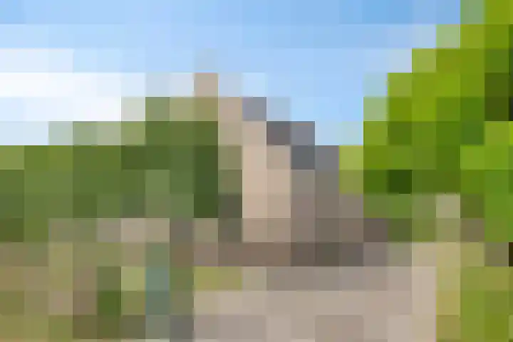 Bargereed 49 Tzummarum thumbnail 6