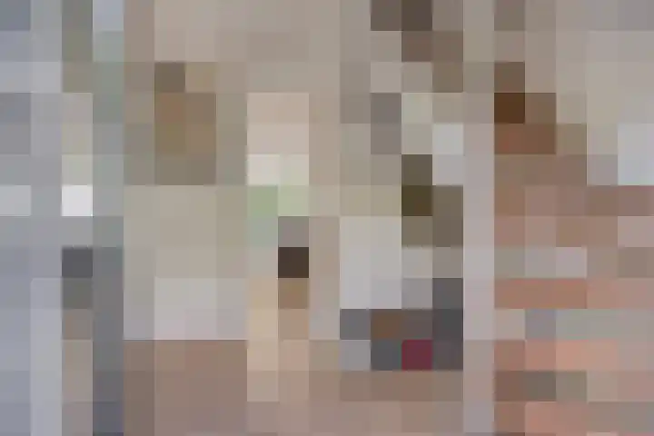 Bargereed 49 Tzummarum thumbnail 7