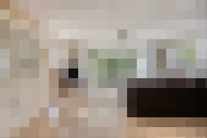 Bargereed 49 Tzummarum thumbnail 8