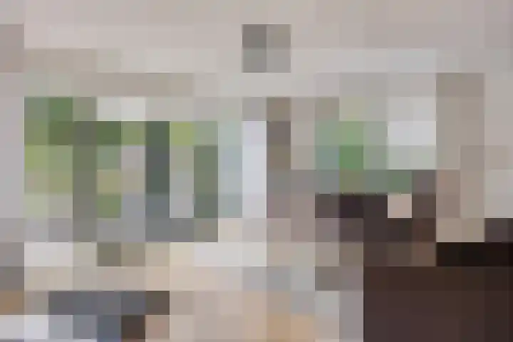 Bargereed 49 Tzummarum thumbnail 9