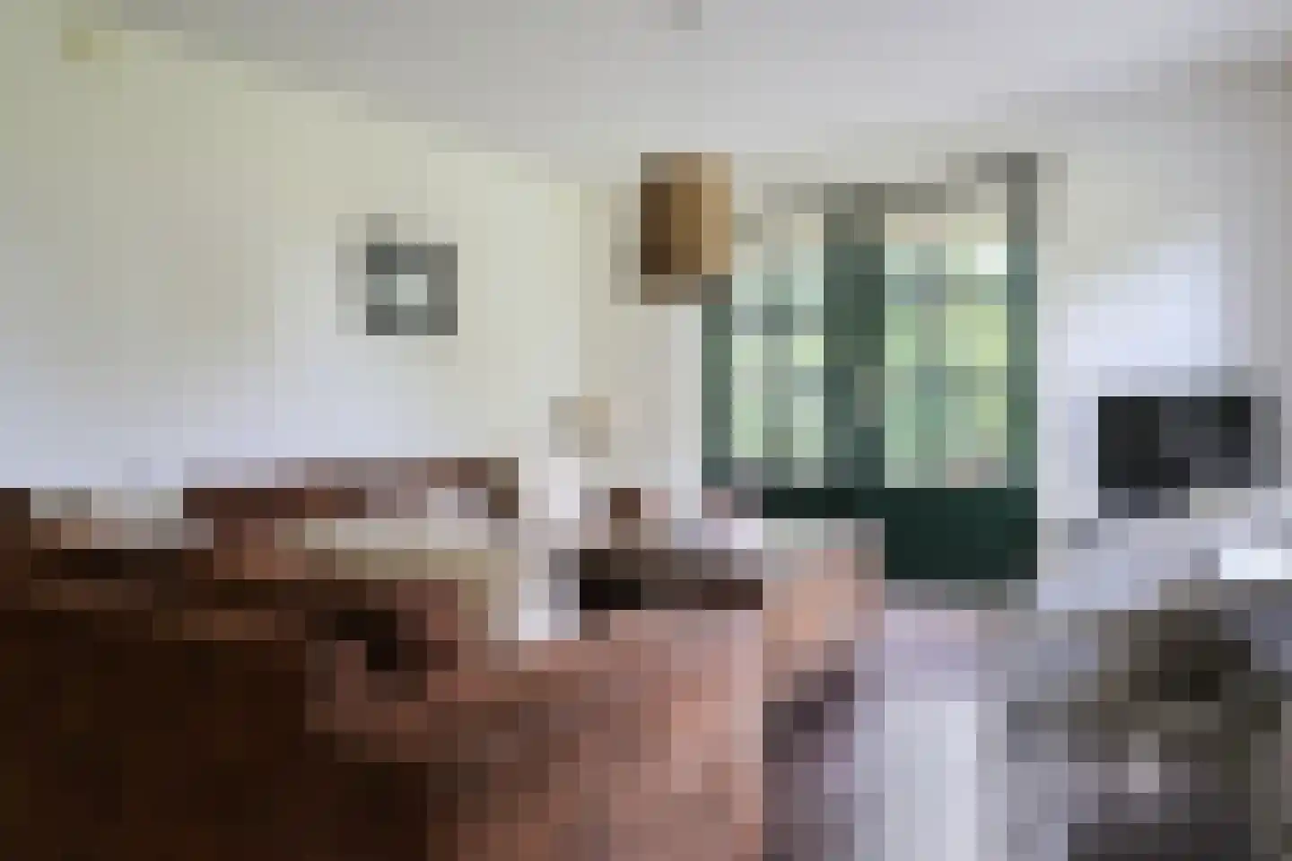 Bargereed 50 Tzummarum thumbnail 11
