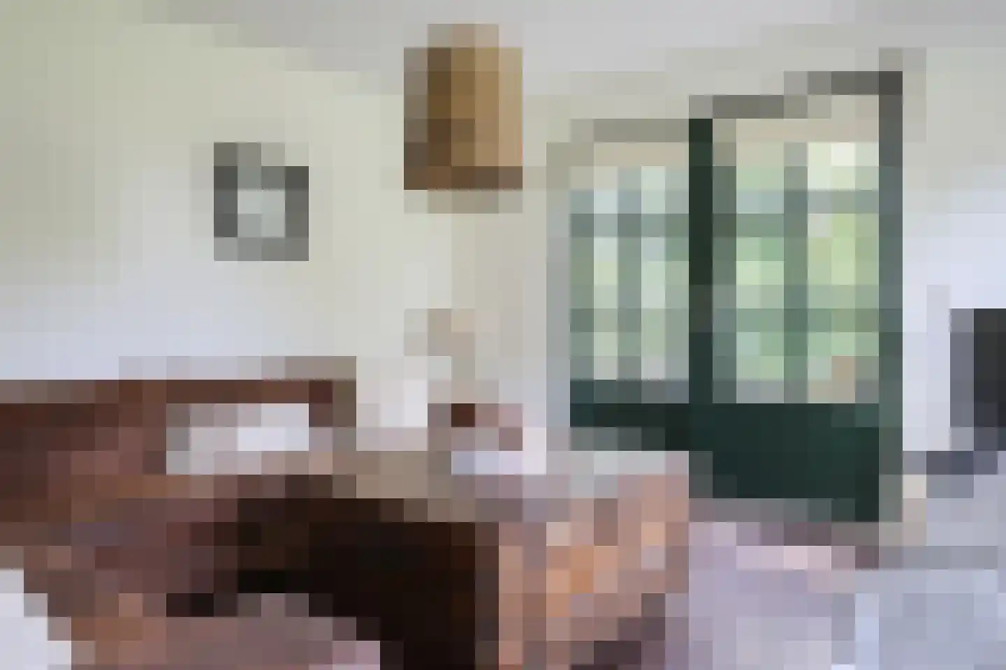 Bargereed 50 Tzummarum thumbnail 12