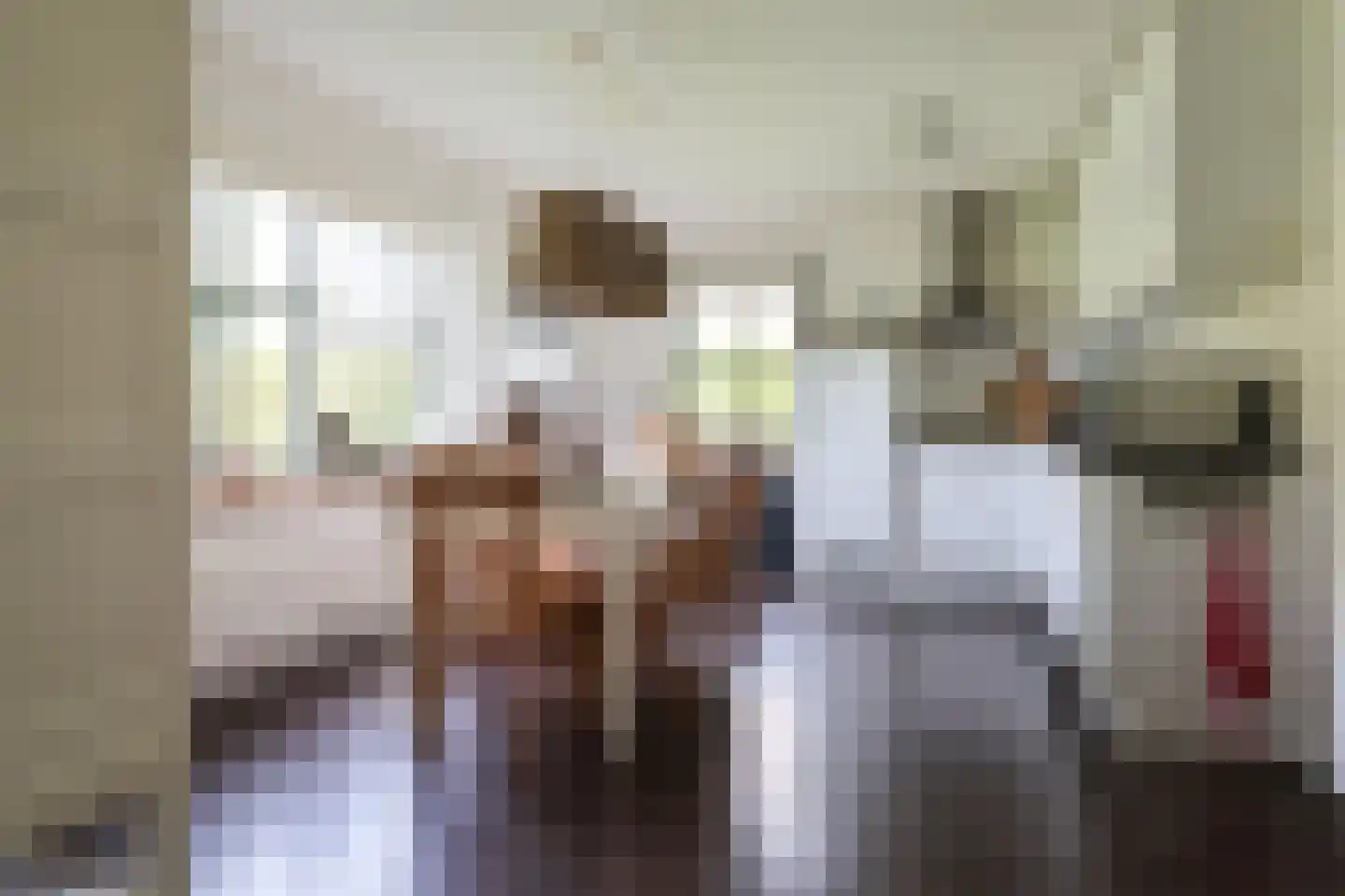 Bargereed 50 Tzummarum thumbnail 13