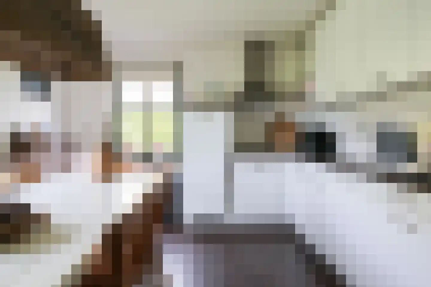 Bargereed 50 Tzummarum thumbnail 15