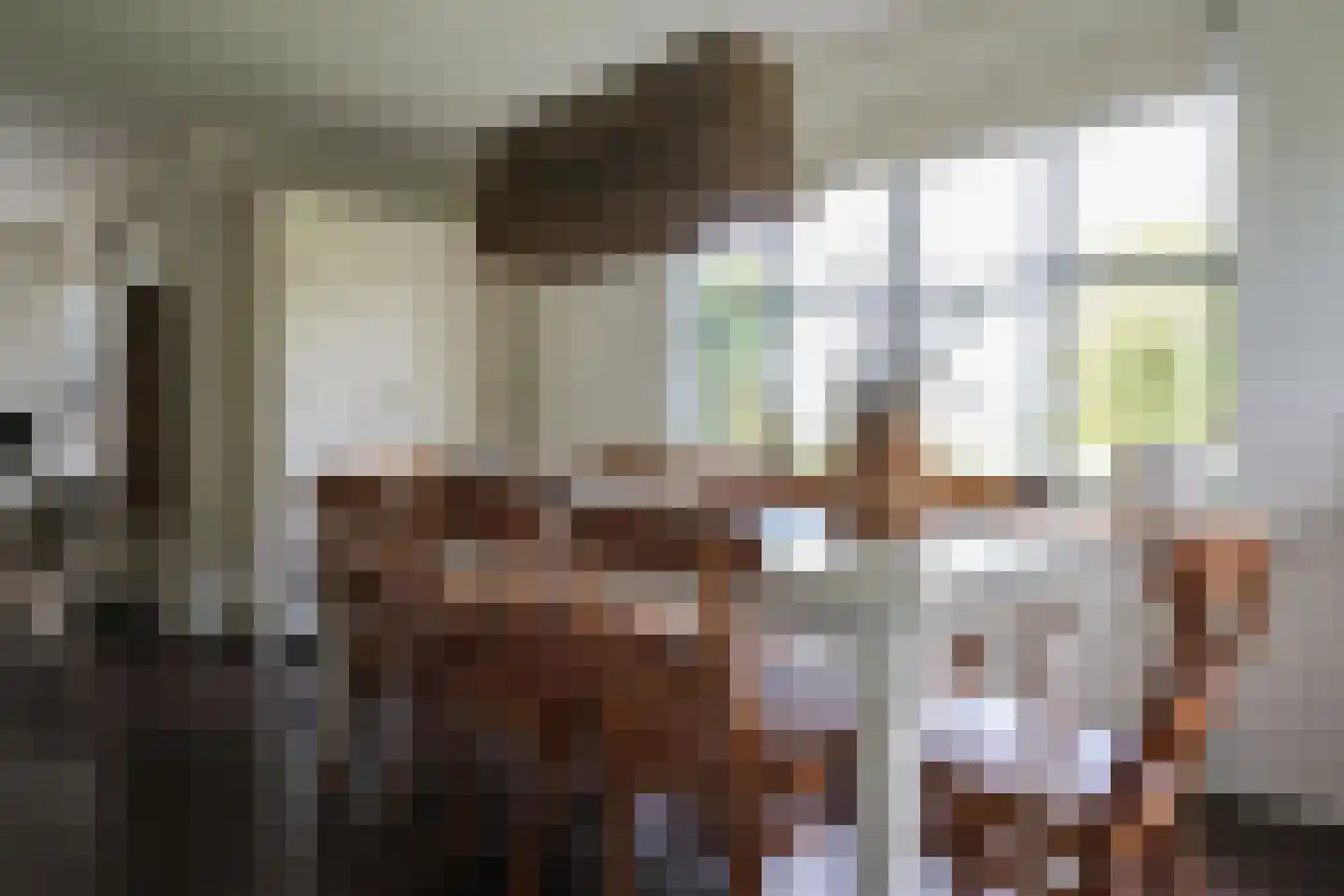 Bargereed 50 Tzummarum thumbnail 16