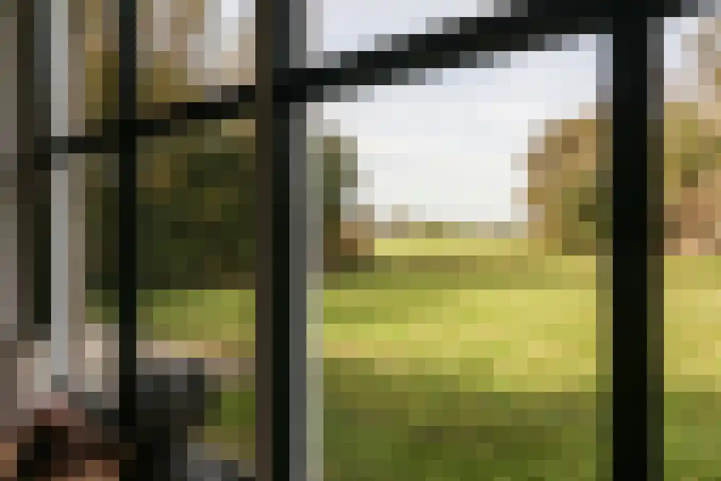 Bargereed 50 Tzummarum thumbnail 17