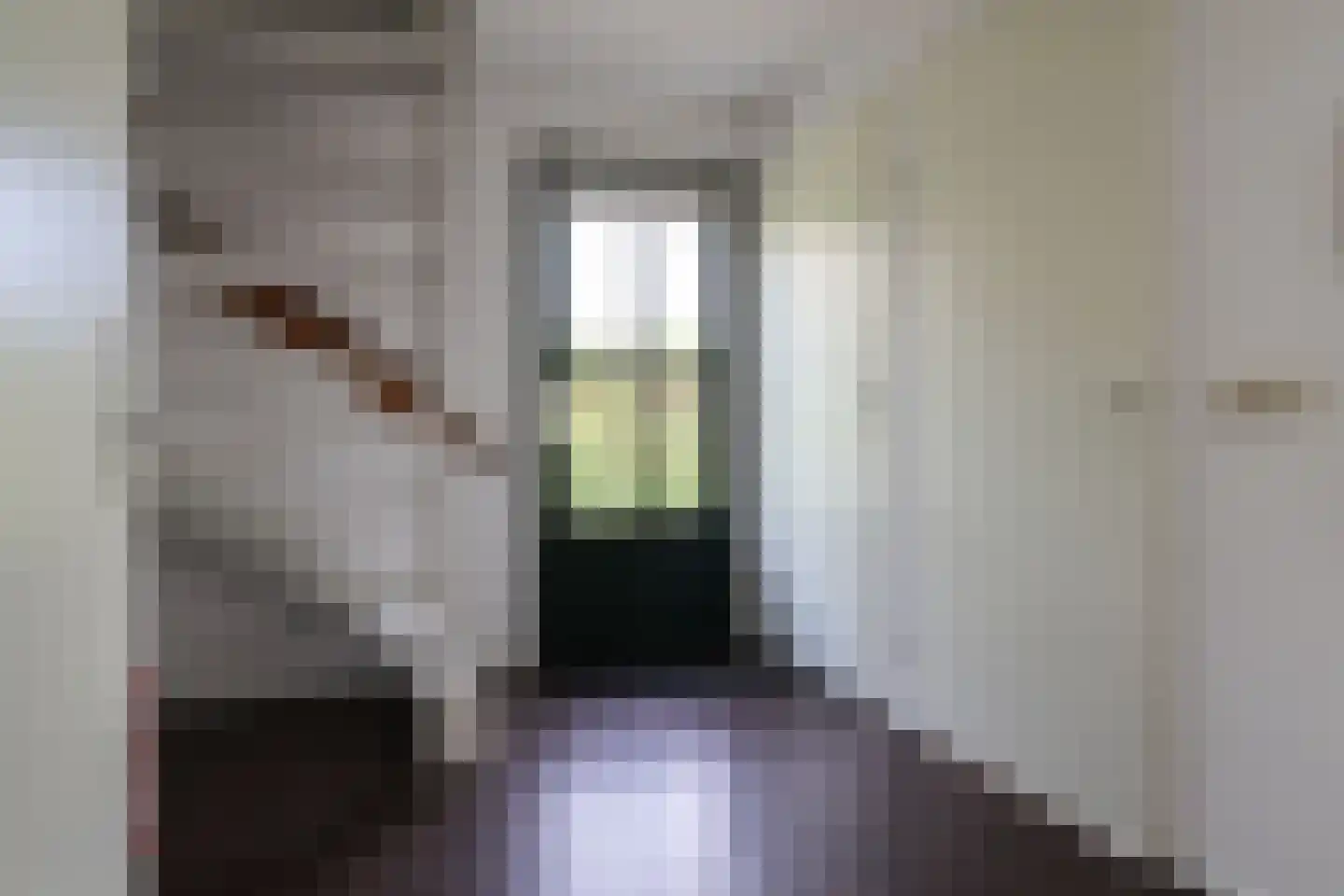 Bargereed 50 Tzummarum thumbnail 18
