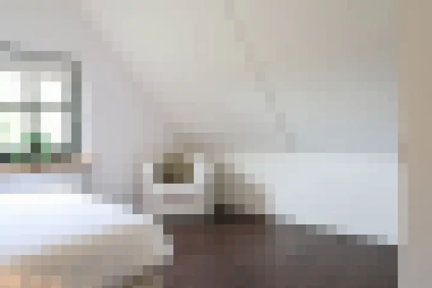 Bargereed 50 Tzummarum thumbnail 27