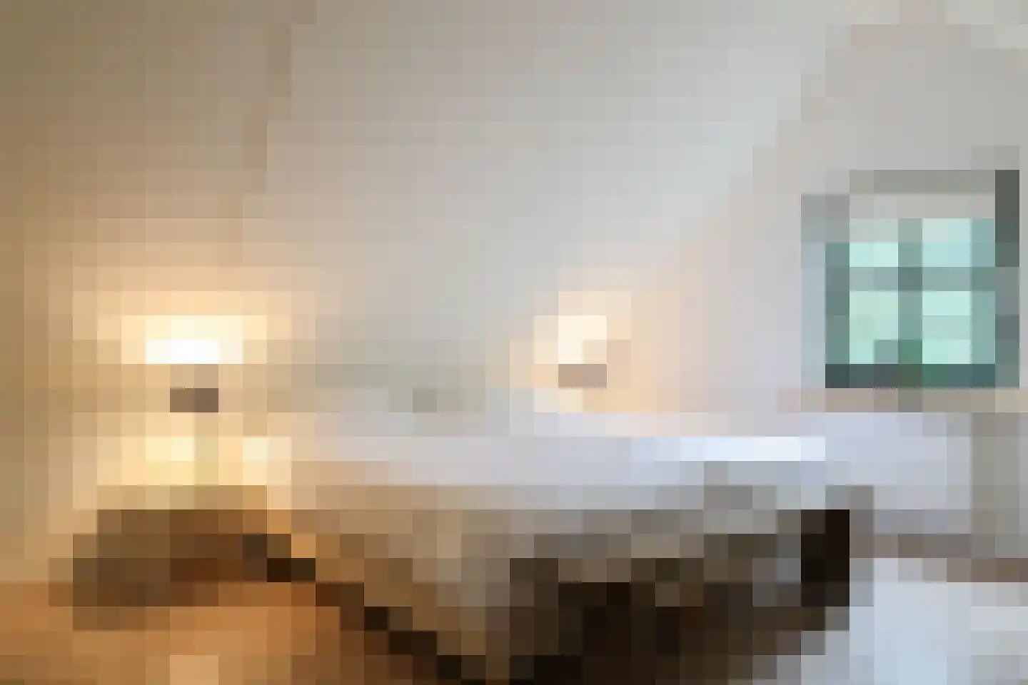 Bargereed 50 Tzummarum thumbnail 33