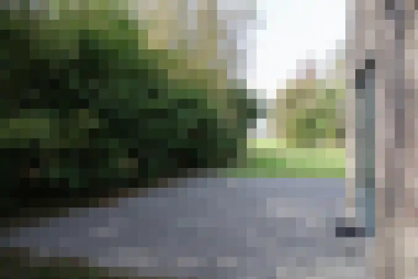 Bargereed 50 Tzummarum thumbnail 39