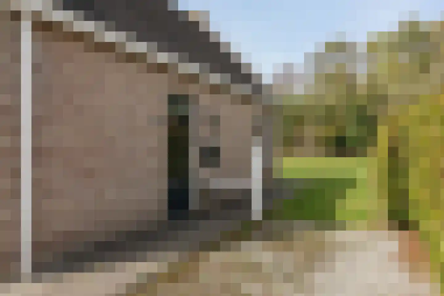 Bargereed 50 Tzummarum thumbnail 4