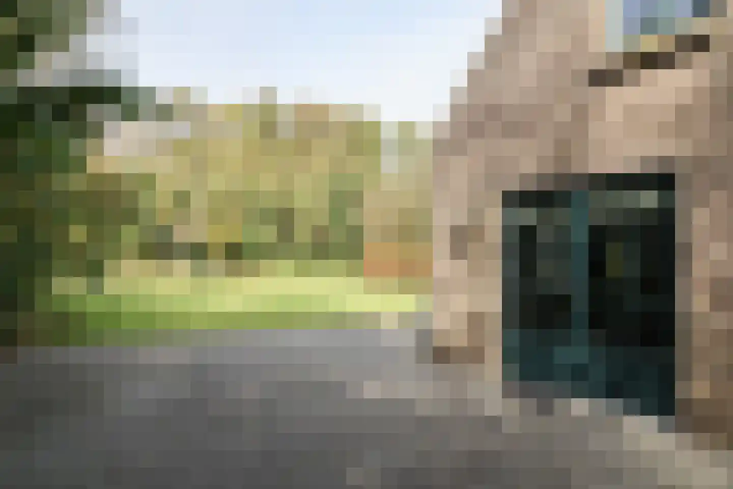 Bargereed 50 Tzummarum thumbnail 40