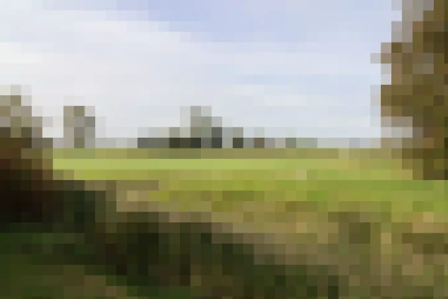 Bargereed 50 Tzummarum thumbnail 44