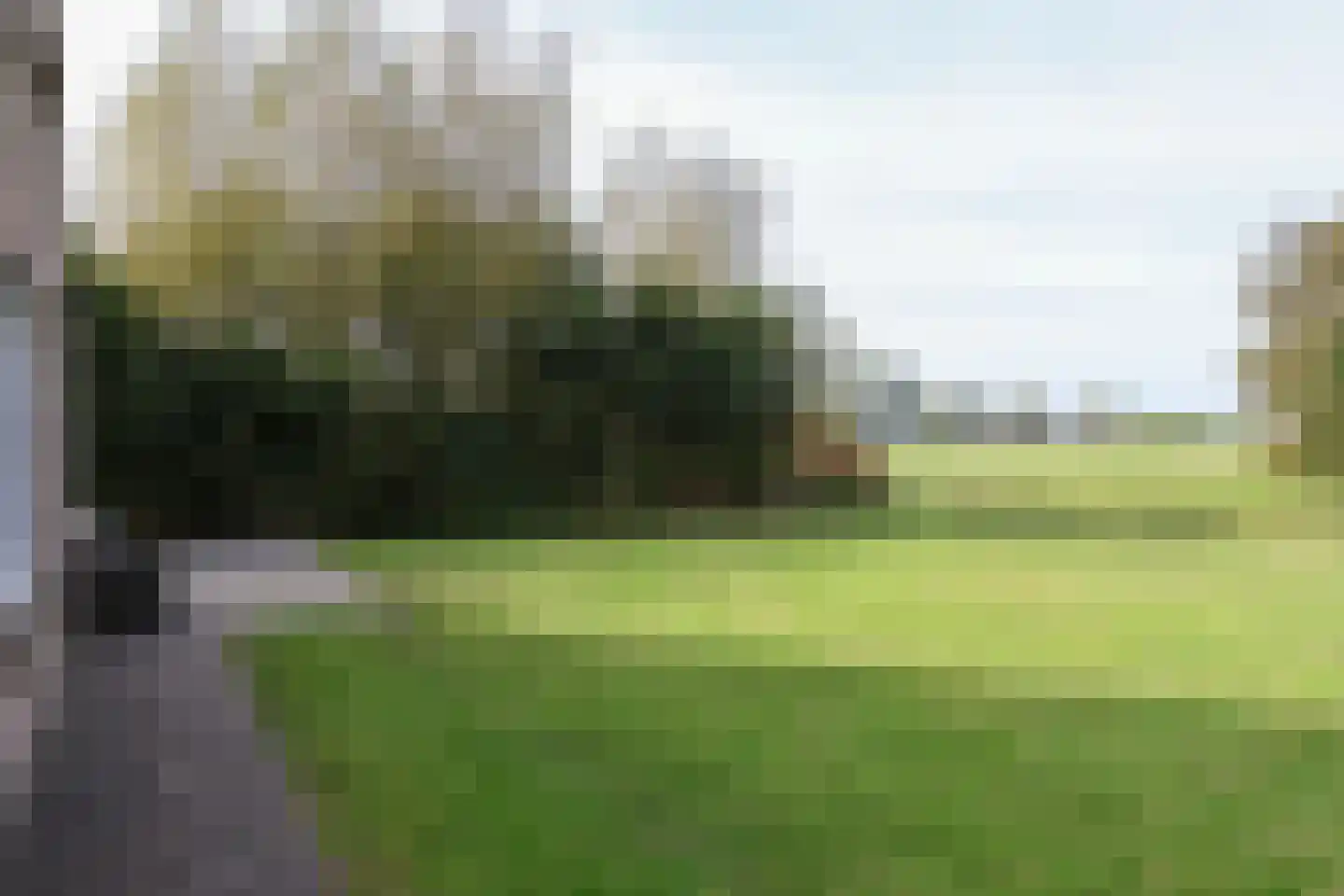 Bargereed 50 Tzummarum thumbnail 45