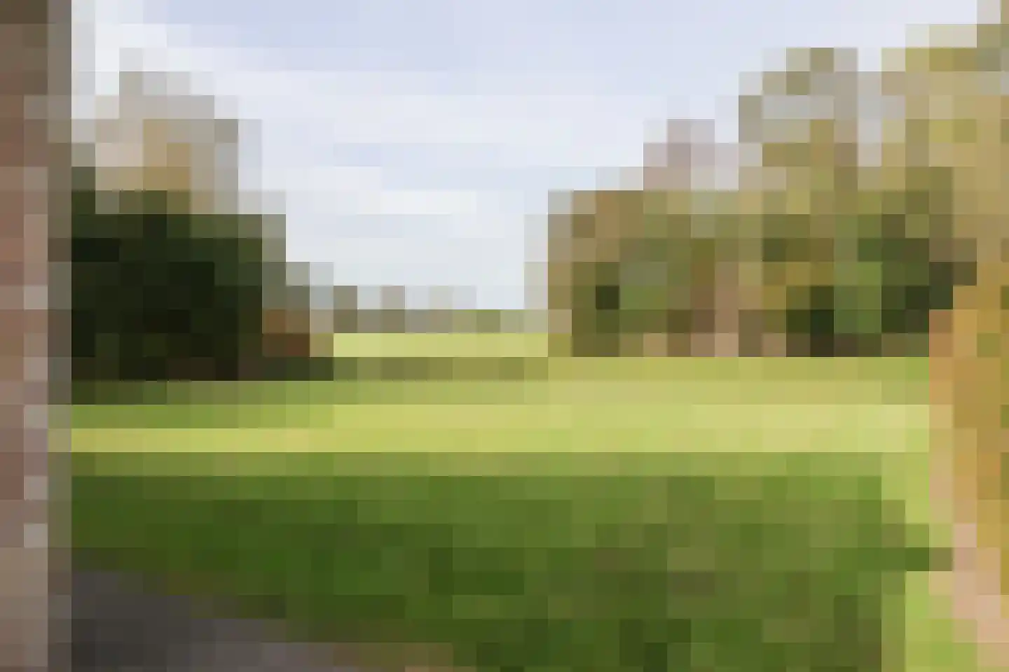 Bargereed 50 Tzummarum thumbnail 46