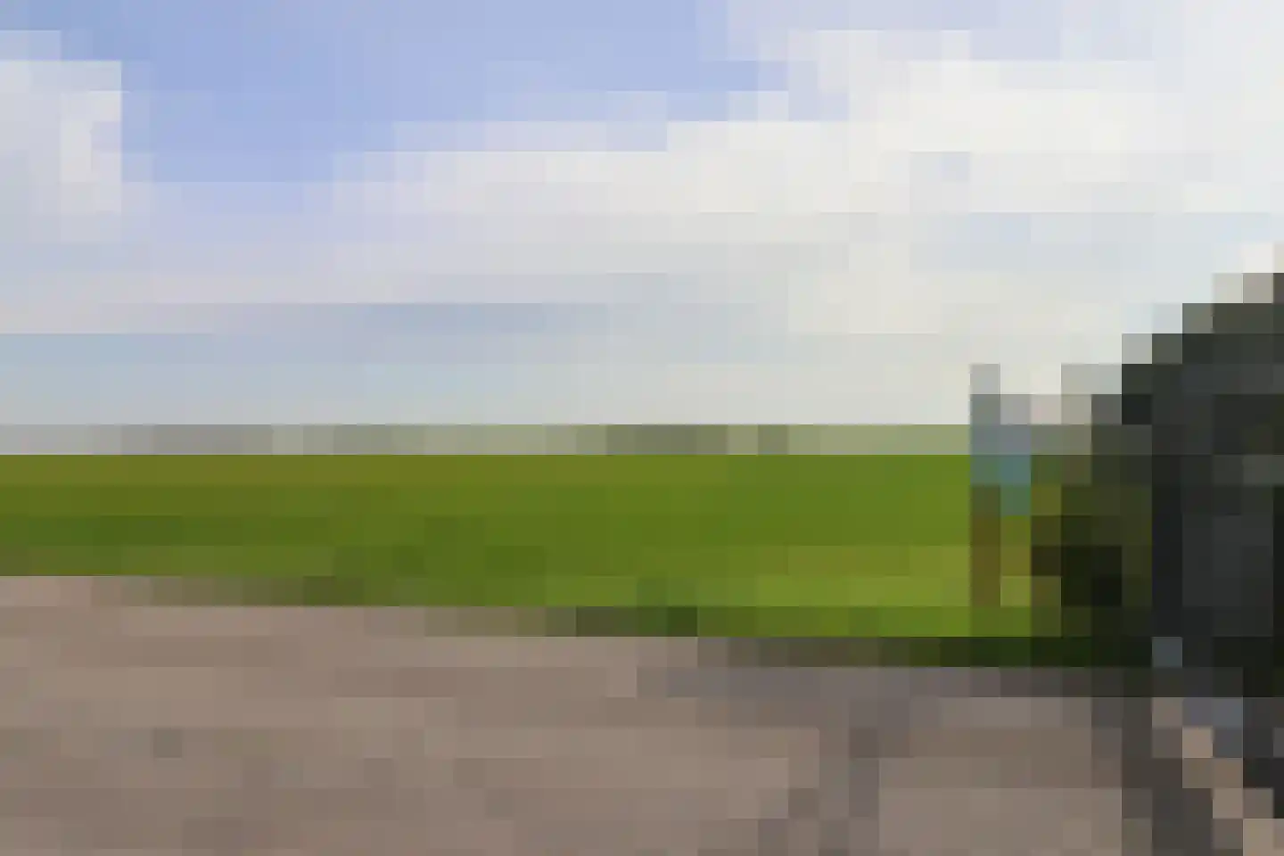 Bargereed 50 Tzummarum thumbnail 49