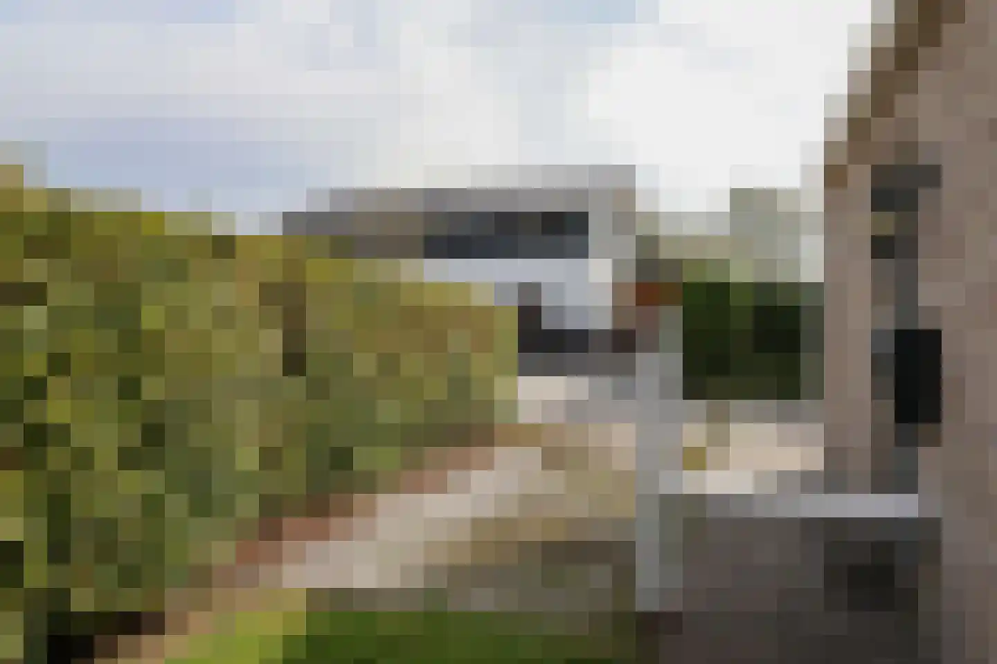 Bargereed 50 Tzummarum thumbnail 5