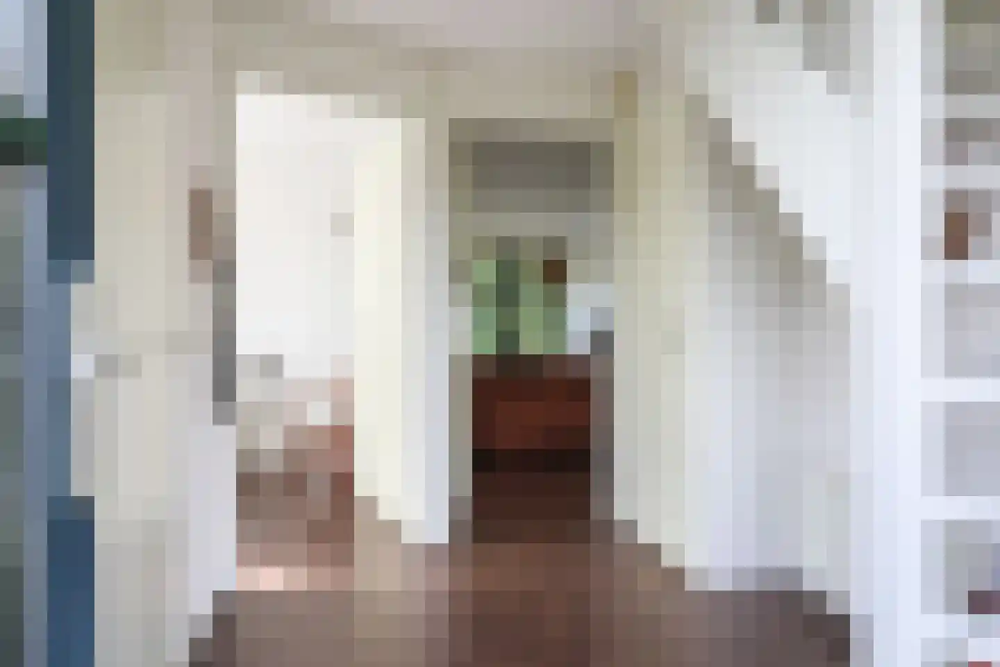 Bargereed 50 Tzummarum thumbnail 6