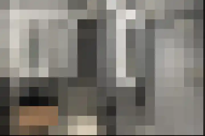 Bargereed 66 Tzummarum thumbnail 15