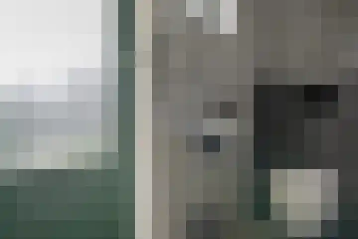 Bargereed 66 Tzummarum thumbnail 16