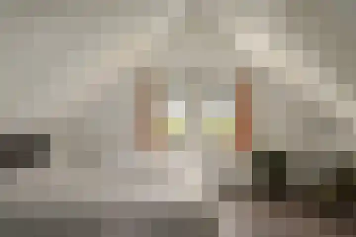 Bargereed 66 Tzummarum thumbnail 17