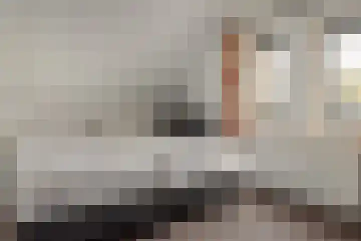 Bargereed 66 Tzummarum thumbnail 18