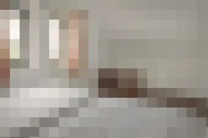 Bargereed 66 Tzummarum thumbnail 19