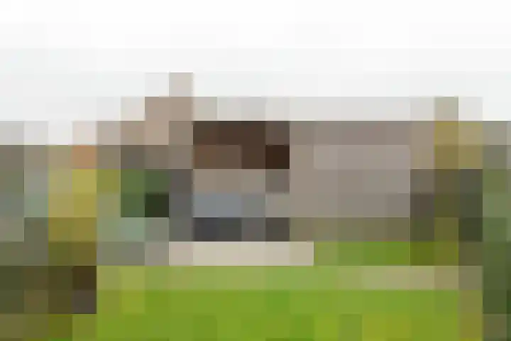 Bargereed 66 Tzummarum thumbnail 21