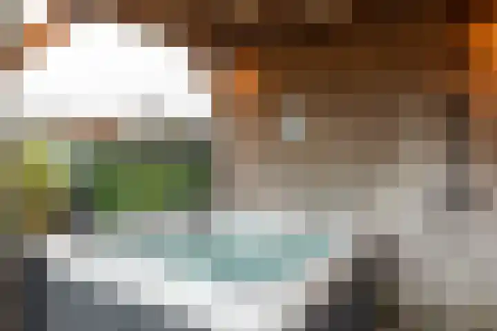 Bargereed 66 Tzummarum thumbnail 22