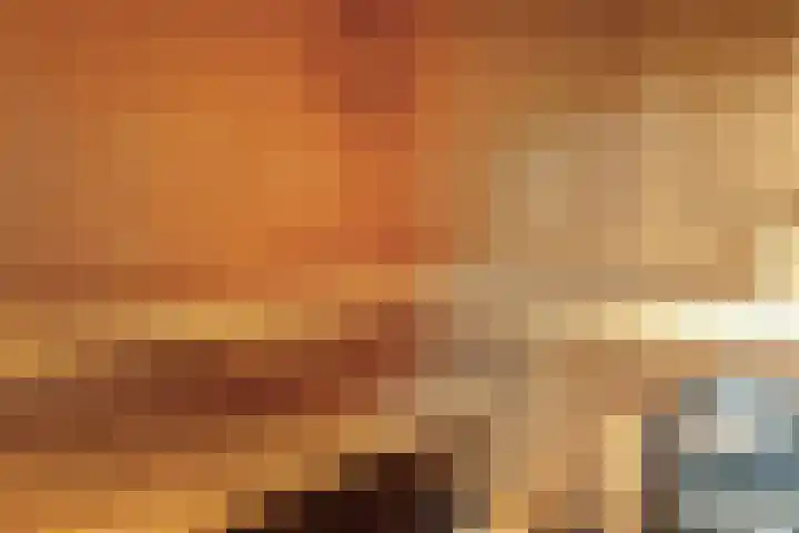 Bargereed 66 Tzummarum thumbnail 25