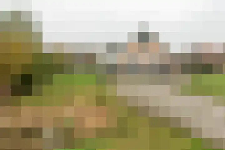 Bargereed 66 Tzummarum thumbnail 4