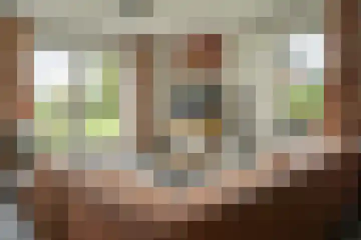 Bargereed 66 Tzummarum thumbnail 8