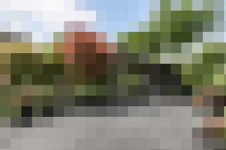 Bargerholt 59 Emmen thumbnail 35