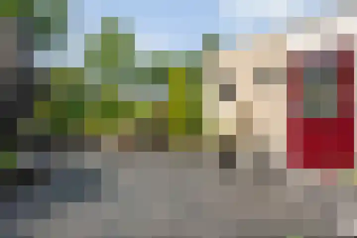 Bargerholt 59 Emmen thumbnail 36