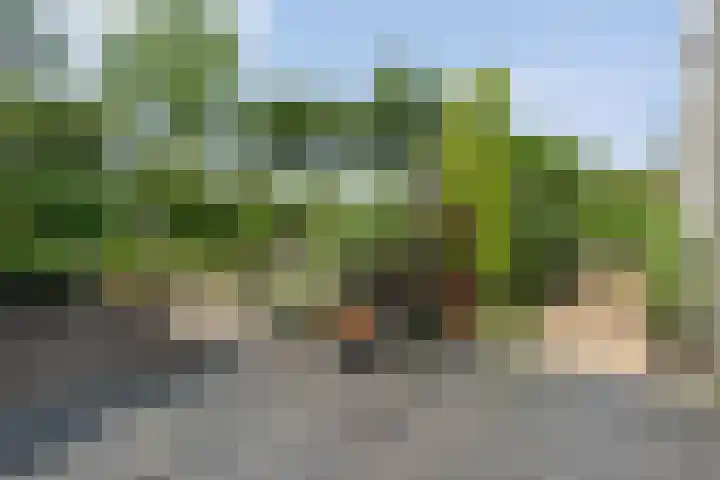 Bargerholt 59 Emmen thumbnail 37