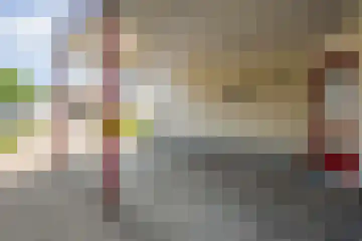 Bargerholt 59 Emmen thumbnail 6