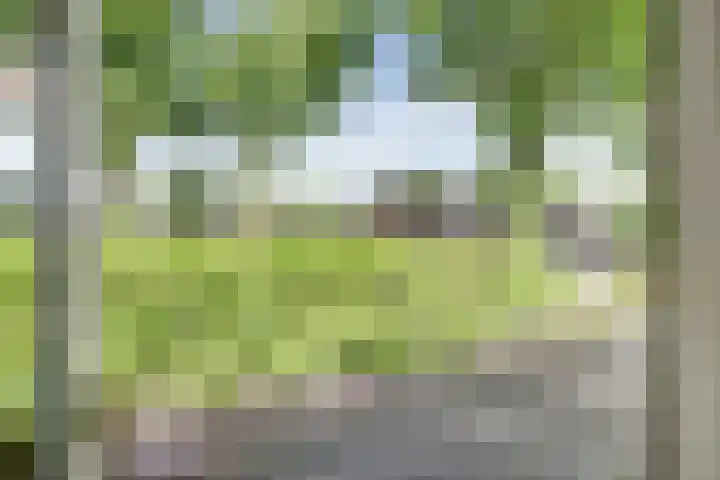 Bargerkempke 5 Winterswijk thumbnail 21