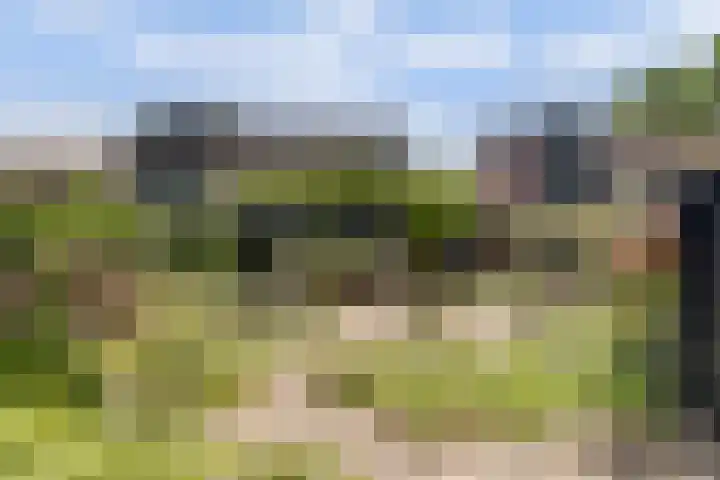 Bargerkempke 5 Winterswijk thumbnail 37