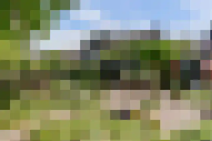 Bargerkempke 5 Winterswijk thumbnail 38